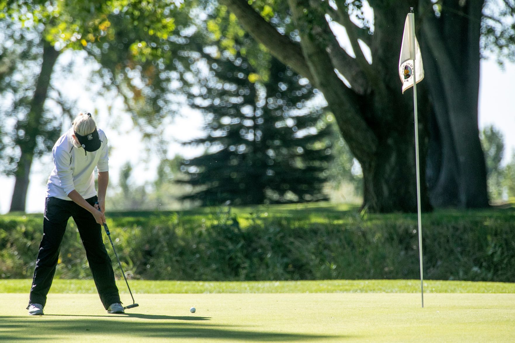 High School State Golf